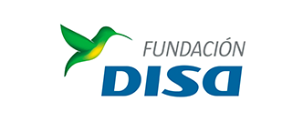Fundación Disa Logo